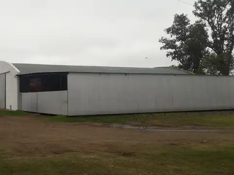 Campo - Estacion Bell Ville