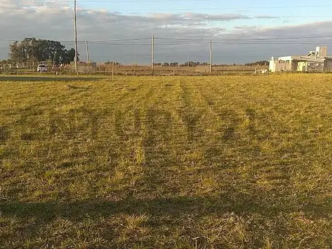 141 e/ 639 y 641 | Lote - Tereno | Venta | Arana, La Plata