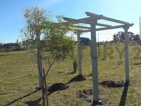 141 e/ 639 y 641 | Lote - Tereno | Venta | Arana, La Plata