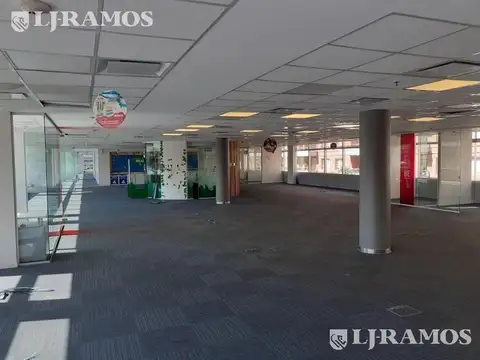 Oficina en Alquiler con 14 cocheras