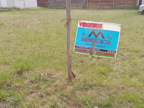 Terreno - Venta - Argentina, BRANDSEN