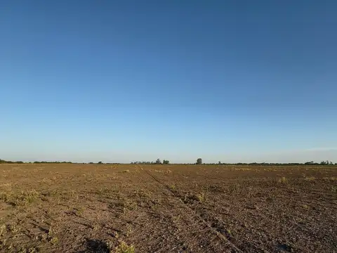 Campo argentino Suelo 3 - Colonia Diez de Julio