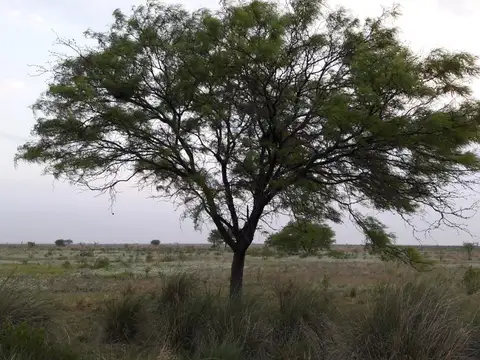 La Rinconada