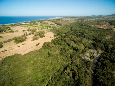 Quinta - Venta - Uruguay, PUNTA BALLENA