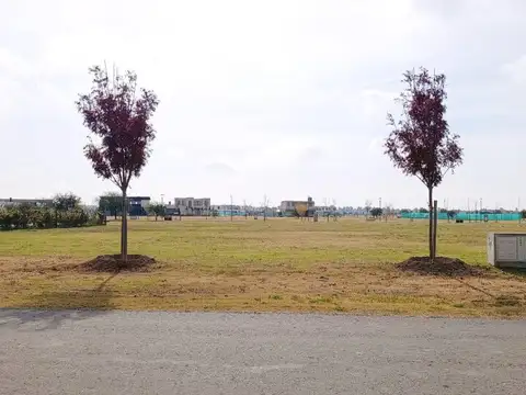 Terreno en Venta 41  mts Fondo