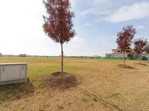 Terreno Vida Club Campo