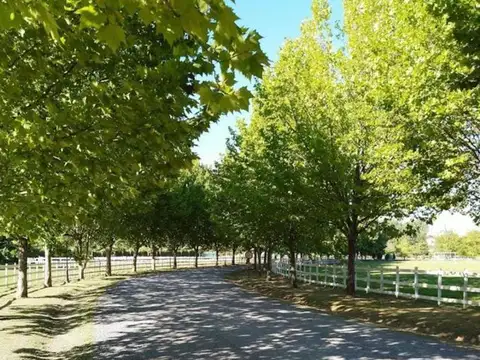 Terreno en Venta de 1500,0 m2