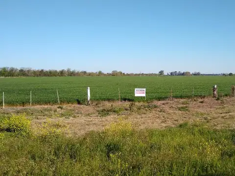 Terreno en Venta de 63200,0 m2