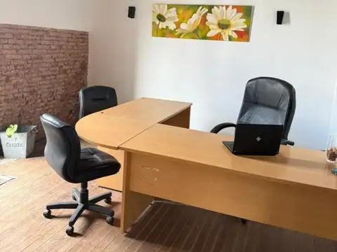 Guido 300