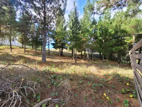 Venta Lote Costa Esmeralda