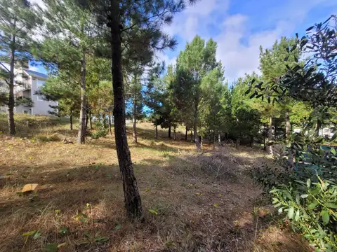 Terreno en Venta en Barrio Ecuestre, USD 38.000