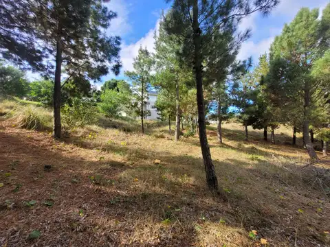 Terreno en Venta de 1200,0 m2