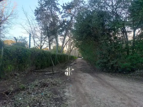 Terreno en Venta de 6166,0 m2