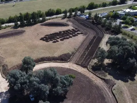 Consultar dirección