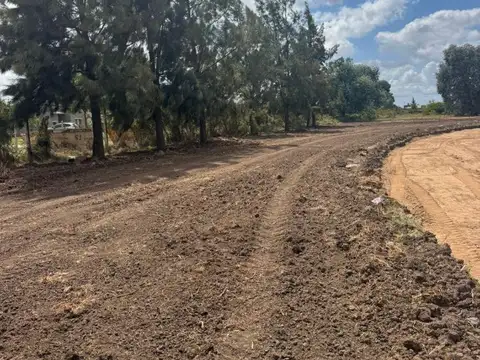 Terreno en Venta de 375,0 m2