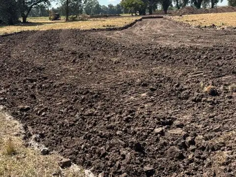 Consultar dirección