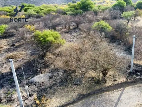 Terreno en Venta en Coronel Moldes, USD 10.000