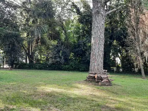 Calle 13 y Los Naranjos IBARLUCEA