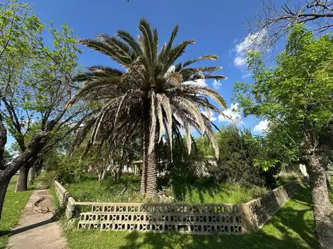 Terreno en Venta 30  mts Fondo