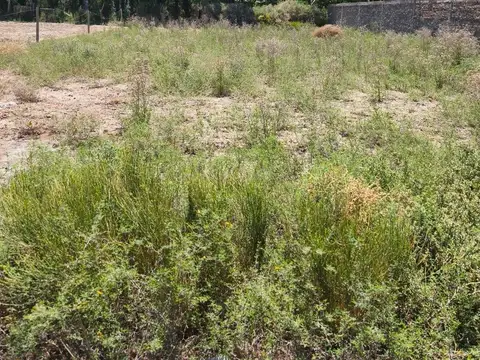 Terreno en Venta en Colonia Segovia, USD 12.500