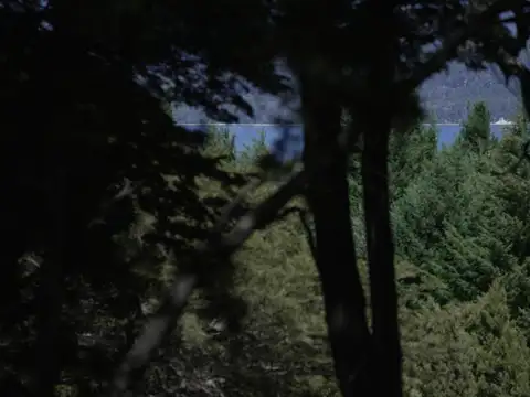 Pje Huemul S/ Ruta 40 km 40