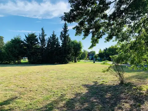 Au Acceso Oeste Km 42, B1744 Moreno, Provincia de Buenos Aires