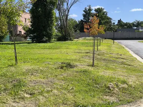 Terreno en Venta 27  mts Fondo