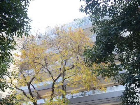 La pampa  al 1300