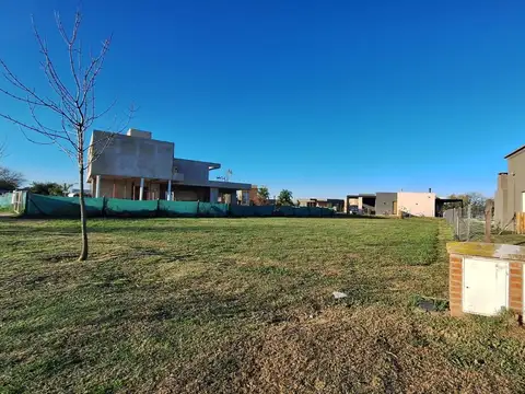 Haras Santa Maria - El Molino - Lote 800