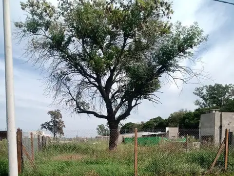 Terreno en Venta 11  mts Frente