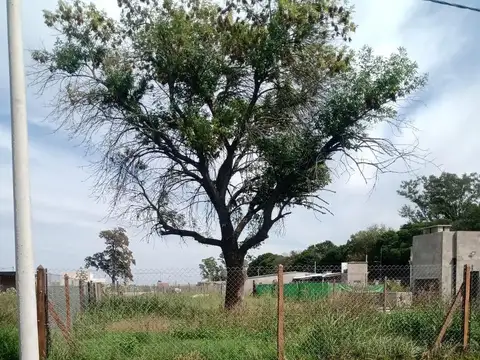 Terreno en Venta en Álvarez, USD 18.000