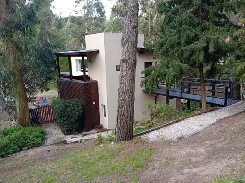 Los Alamos 100