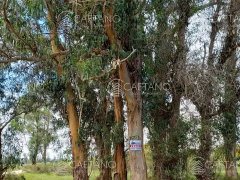 Terreno en Venta en La Barra, USD 95.000