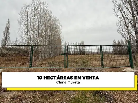 Venta chacra 10 hectáreas -  china muerta