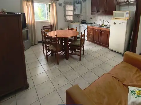 Paunero 100