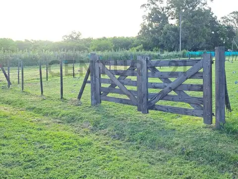 CLUB DE CAMPO SAN EDUARDO , Piso 0