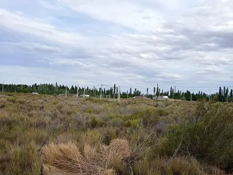 Terreno en Venta en Plottier, USD 6.000