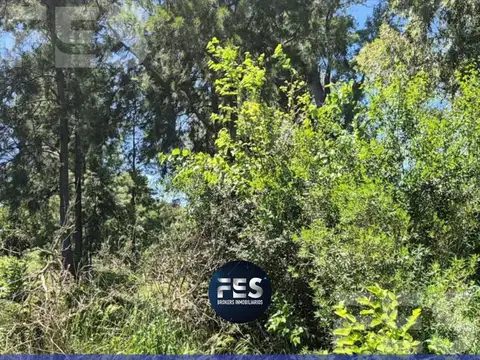 Terreno en Longchamps