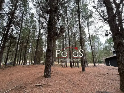 Terreno en Venta de 917,0 m2