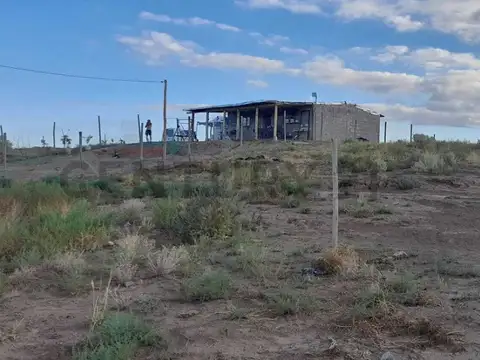 Ruta 16 y medio s/n carrizal