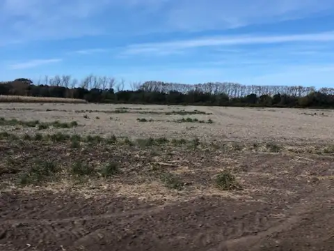 Quinta en Venta en Colonia Caroya, USD 110.000