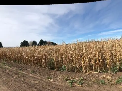 Quinta en Venta en Colonia Caroya, USD 110.000