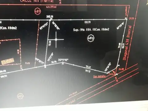 Diagonal 430