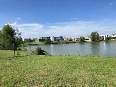 Libertad 300