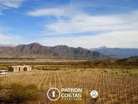 Quinta en Venta en Molinos, Salta