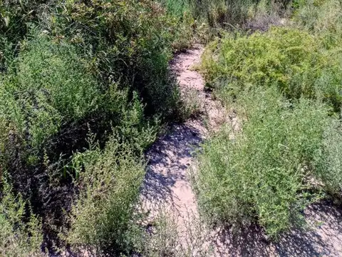 Terreno en Venta de 518,0 m2
