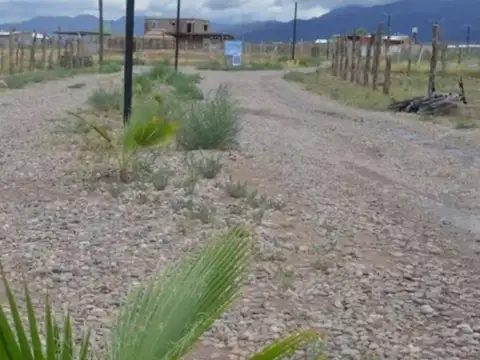 Terreno en Venta en Luján de Cuyo, USD 10.600