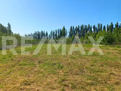 VENTA LOTE 5.000 M2 RESIDENCIAL CENTENARIO