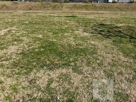 Lote en venta interno Naudir