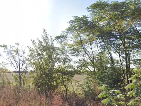 Campo en Perez